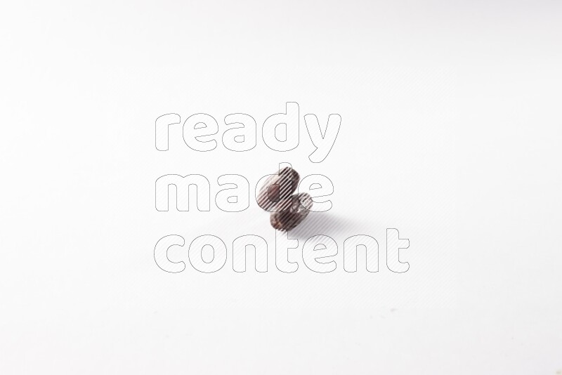 Dates on white background
