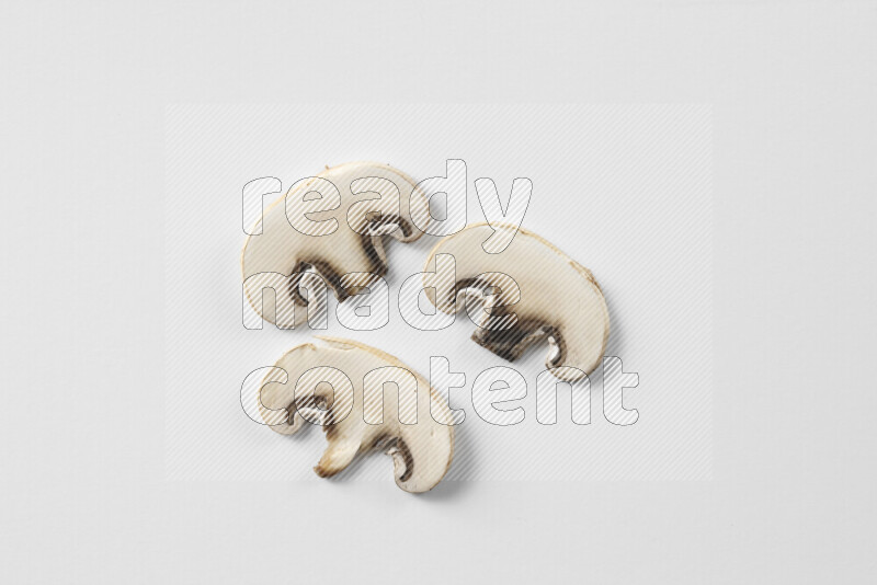 Mushrooms on white background