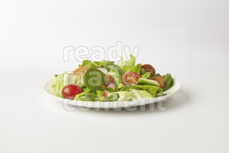 fattoush salad in a white plate direct on a white background
