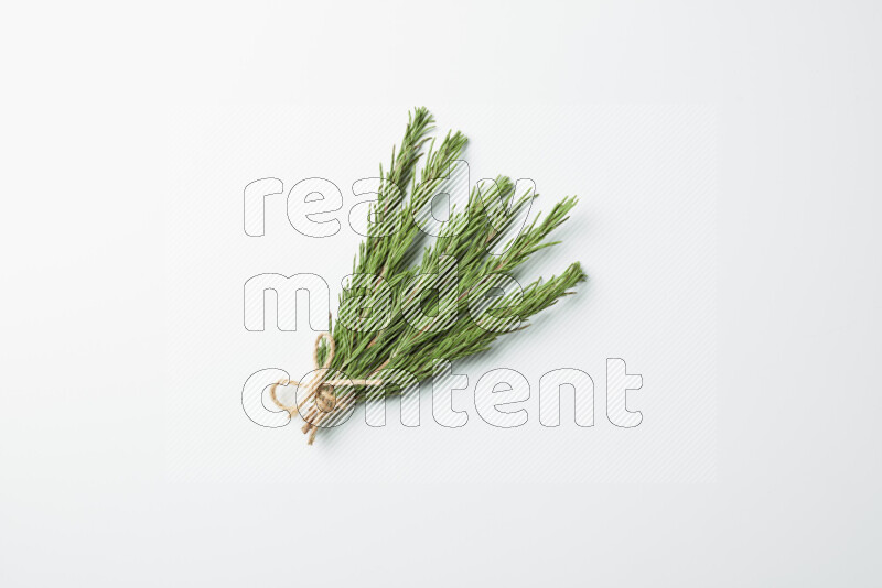 Multi fresh rosemary sprigs on white background