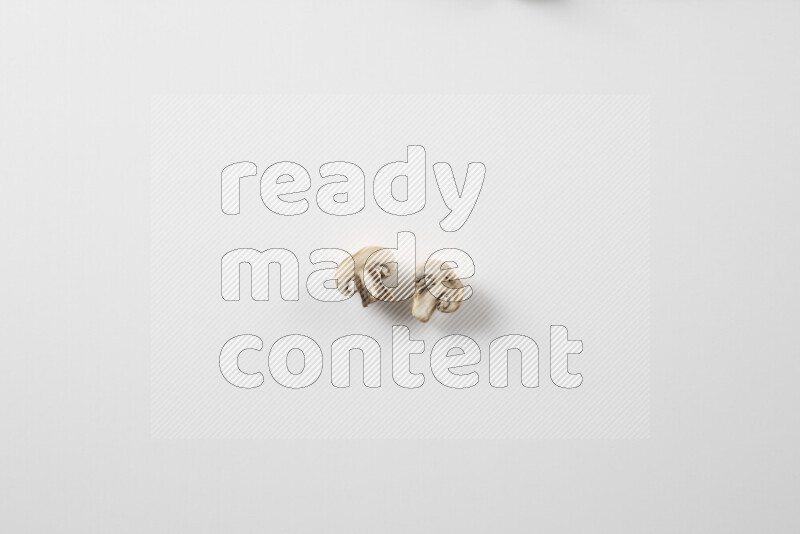 Mushrooms on white background