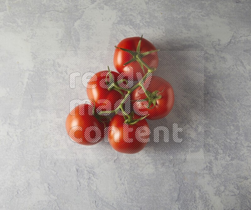 big tomato vein topview  on a textured vinyl background