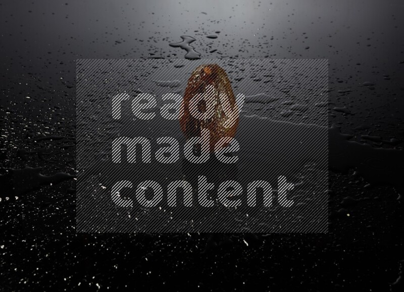 A whole avocado on black background with water drops.