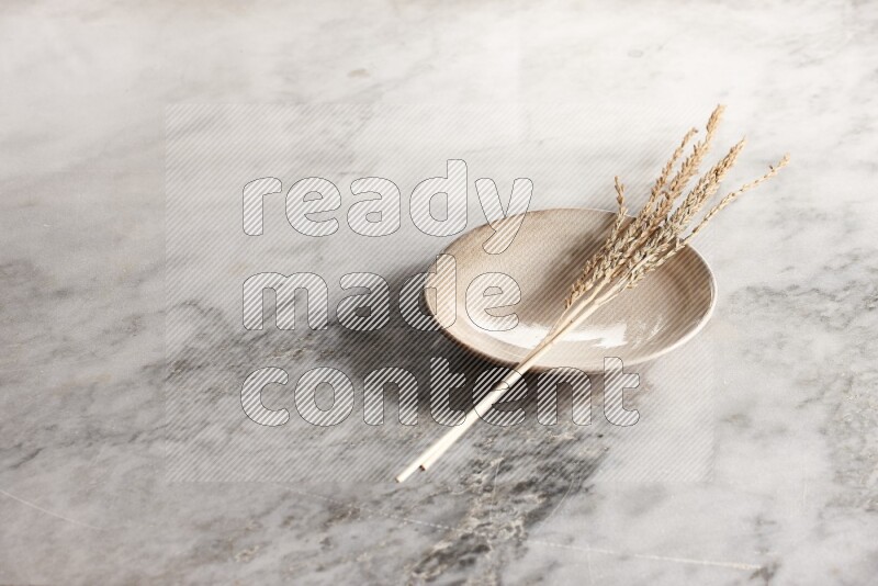 Wheat stalks on Beige Pottery Plate on grey marble flooring, 45 degree angel