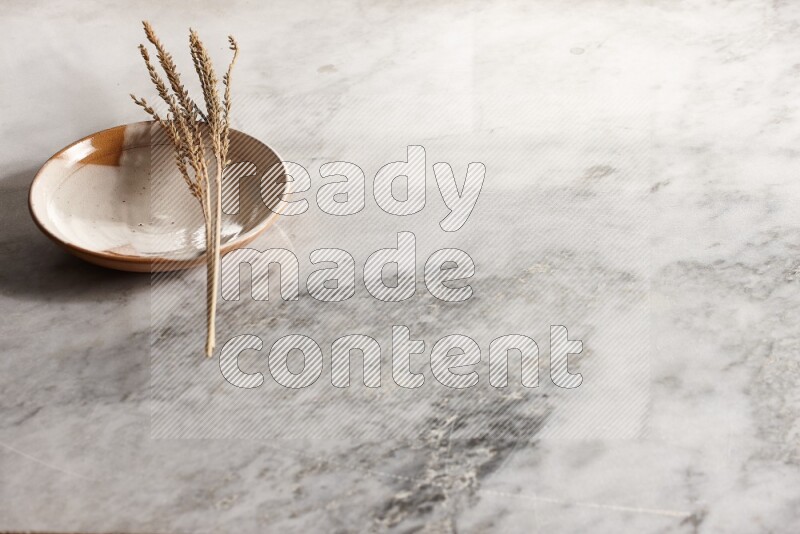 Wheat stalks on multicolored pottery plate on grey marble background
