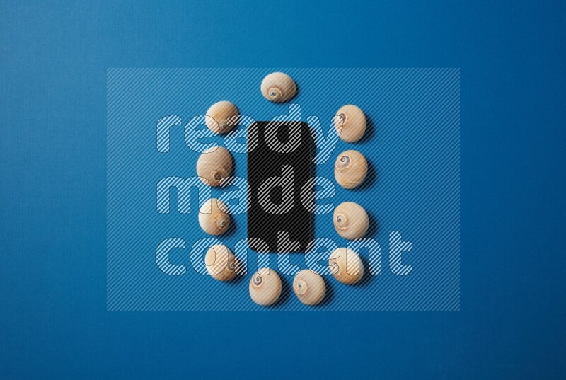top view shot of phone with seashells on blue background