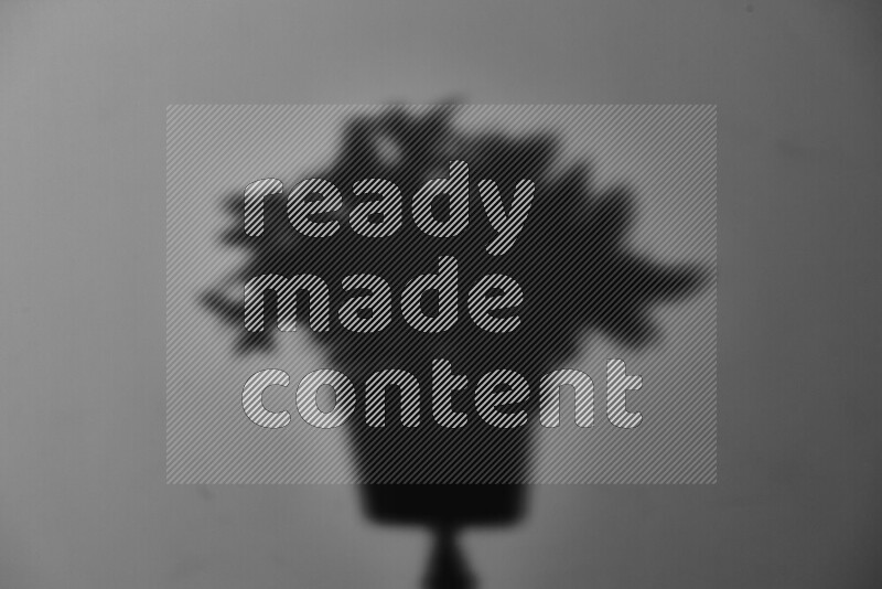 A delicate gobo light projects the silhouette of plant leaves onto a smooth surface