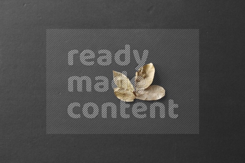 Laurel bay leaves on a black flooring