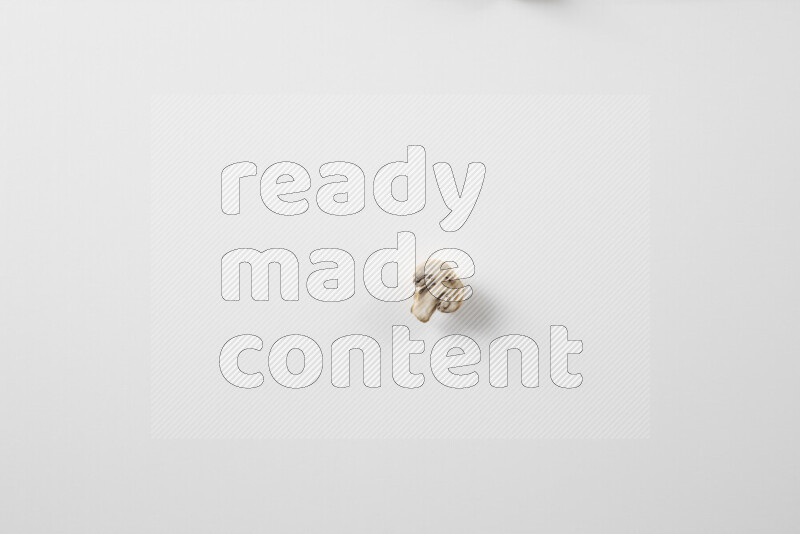 Mushrooms on white background