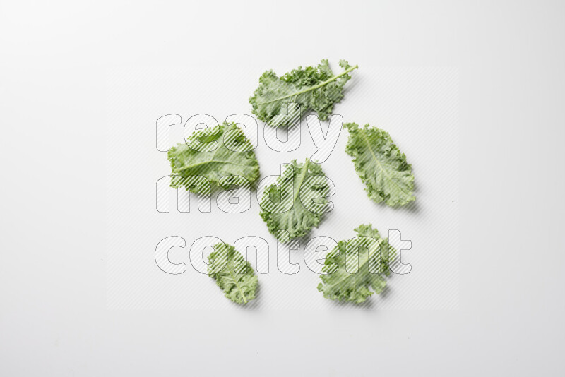 An array of kale leaves spread out on a white background