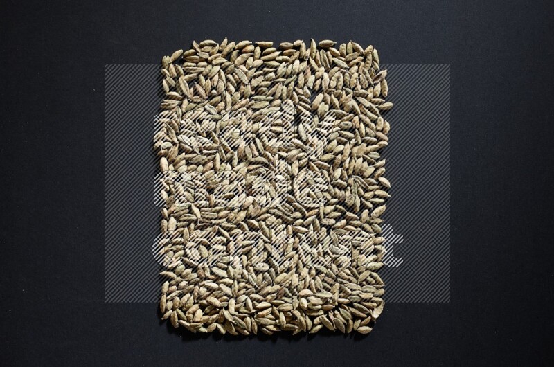 حبوب الهيل على شكل مستطيل على خلفية سوداء