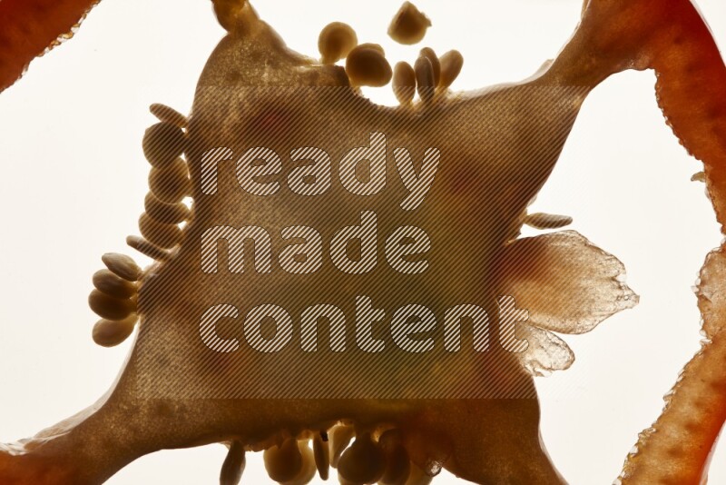 Red bell pepper slices on illuminated white background