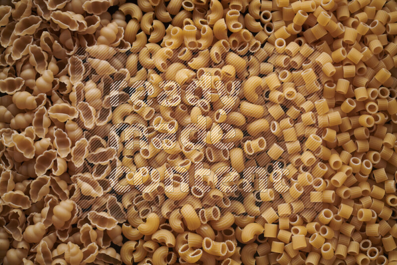 3 types of pasta filling the frame