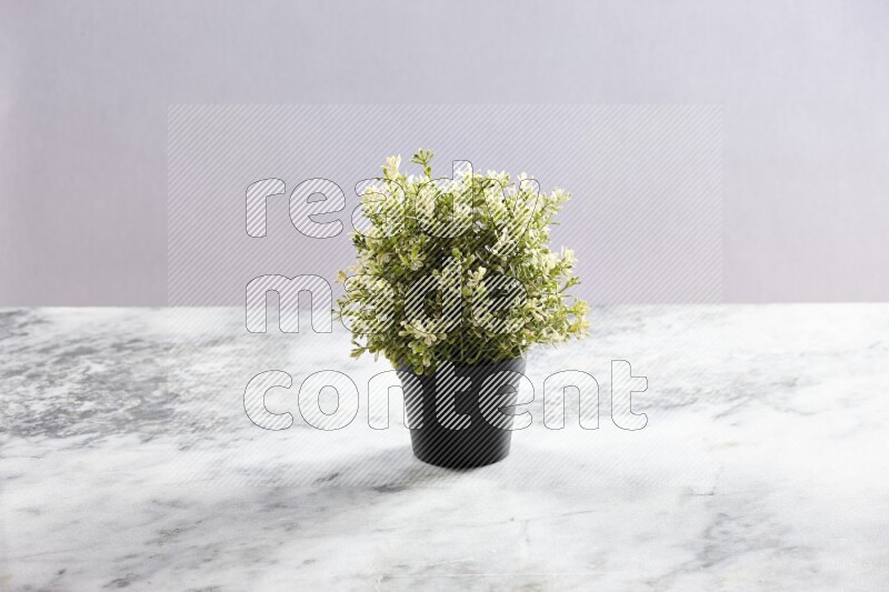 Artificial plant in black pot on grey marble background