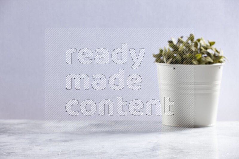 Artificial plant in white pot on grey marble background