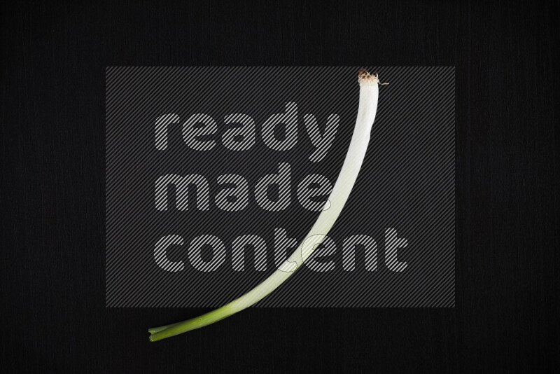 The growth stages of green onions all on black background