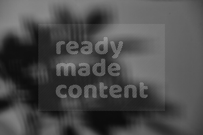 A delicate gobo light projects the silhouette of plant leaves onto a smooth surface