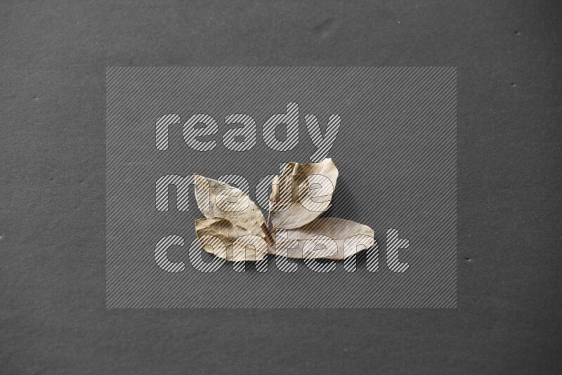 Laurel bay leaves on a black flooring