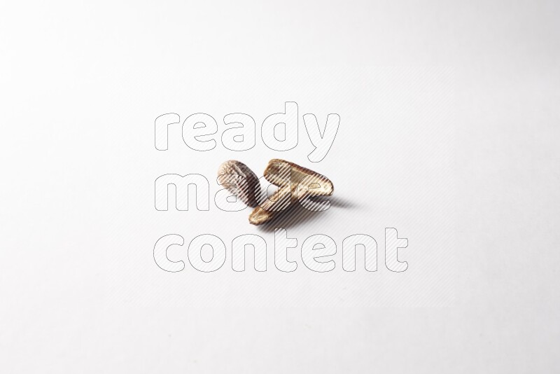 Dates on white background