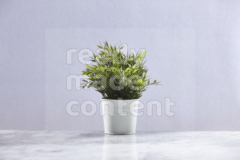 Green artificial plant in white pot on grey marble background