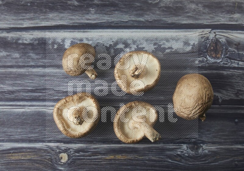 group of fresh shiitake Mushrooms topview on a grey wooden background