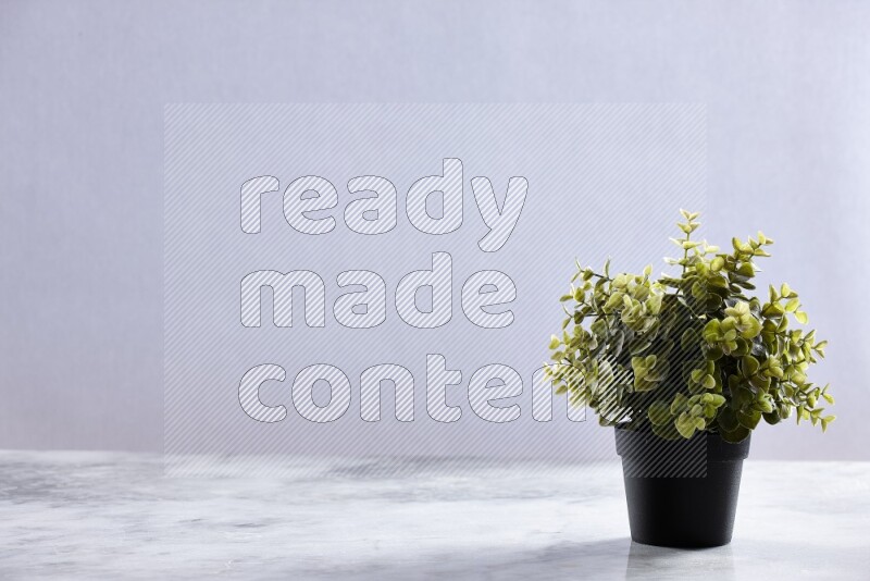 Green artificial plant in black pot on grey marble background