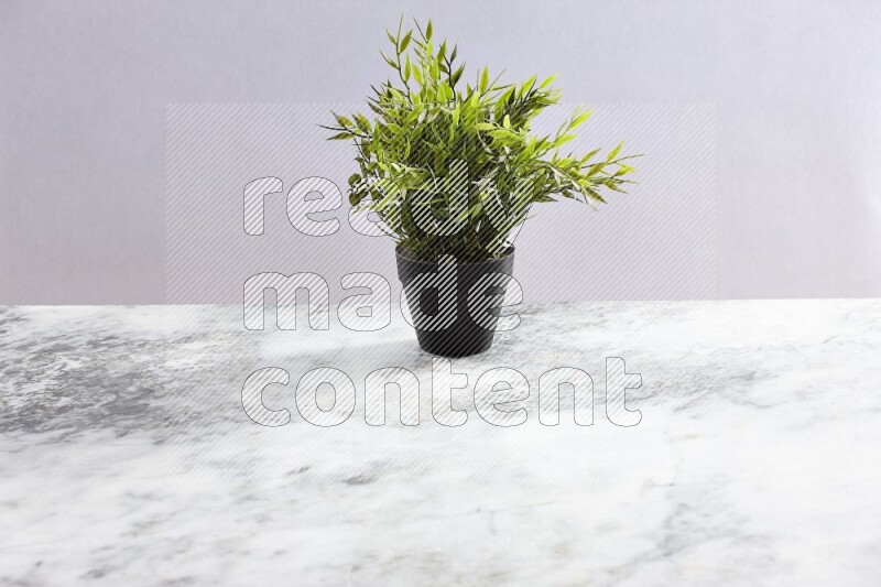 Green artificial plant in black pot on grey marble background
