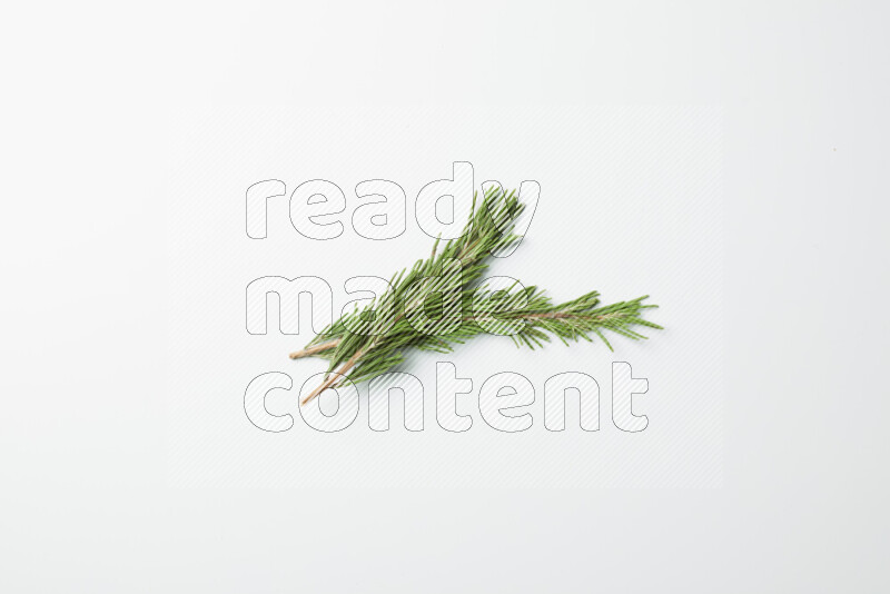 Two fresh rosemary sprigs on white background