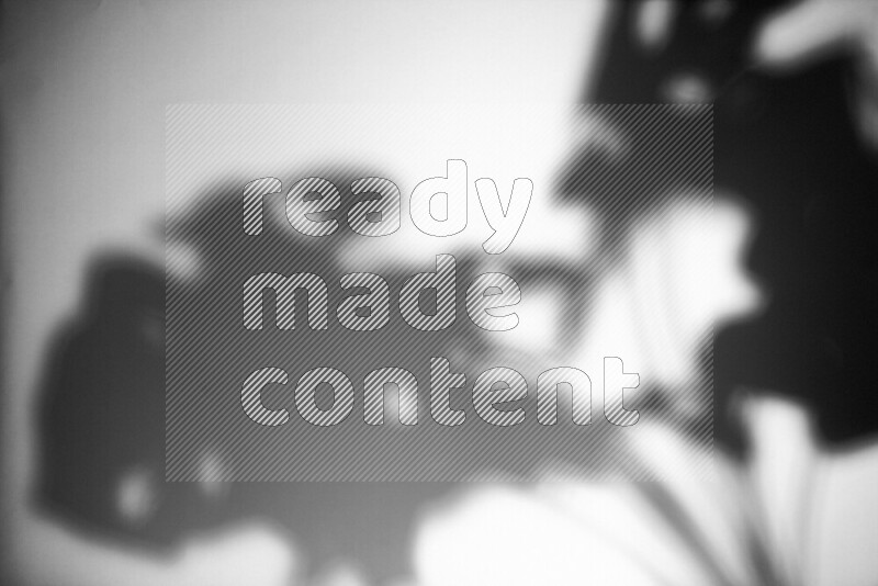 يظهر ضوء غوبو خافت ظلال أوراق نبات تسقط على سطح ناعم