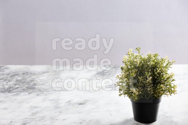 Artificial plant in black pot on grey marble background