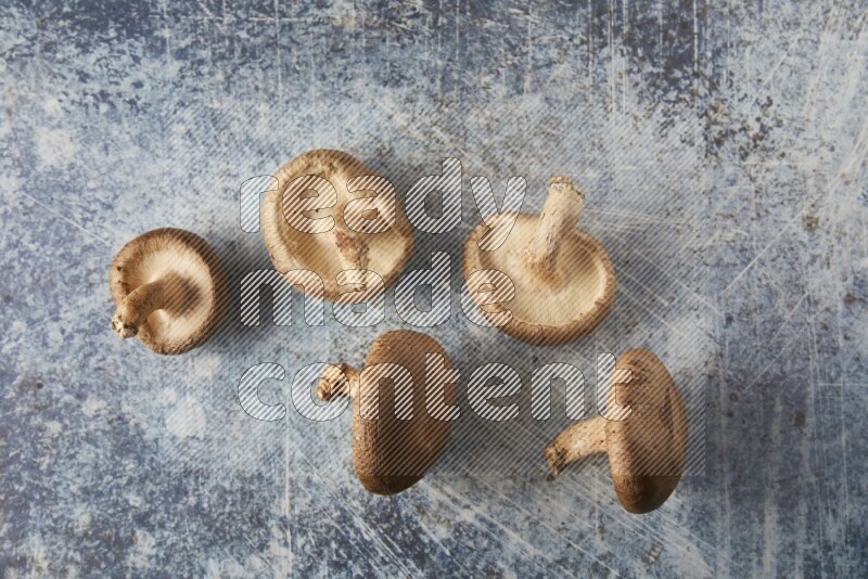 group of fresh shiitake Mushrooms topview on a blue textured background