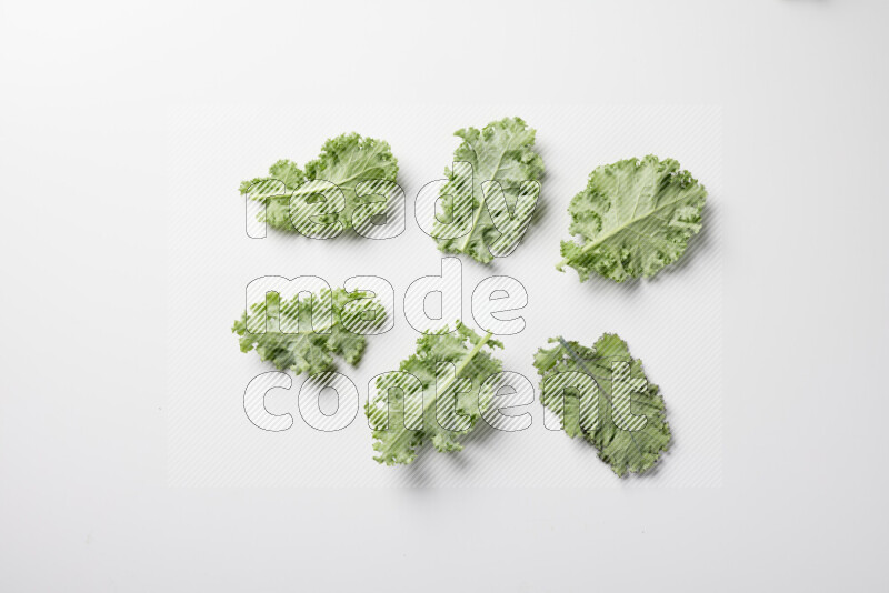 An array of kale leaves spread out on a white background