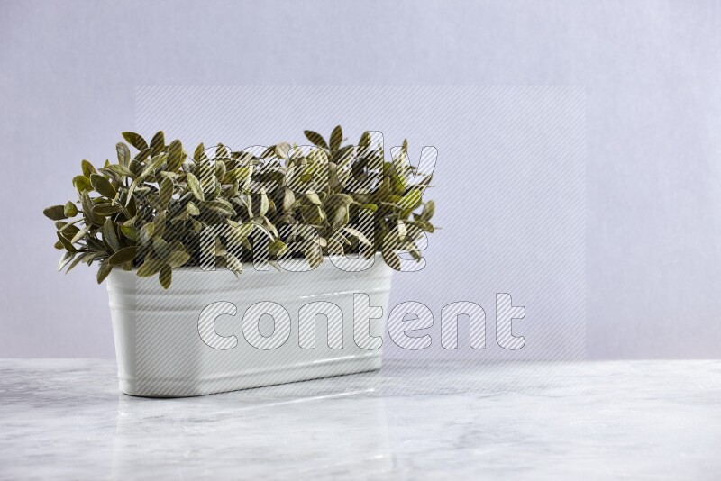 Multiple green artificial plants in white pot on grey marble background