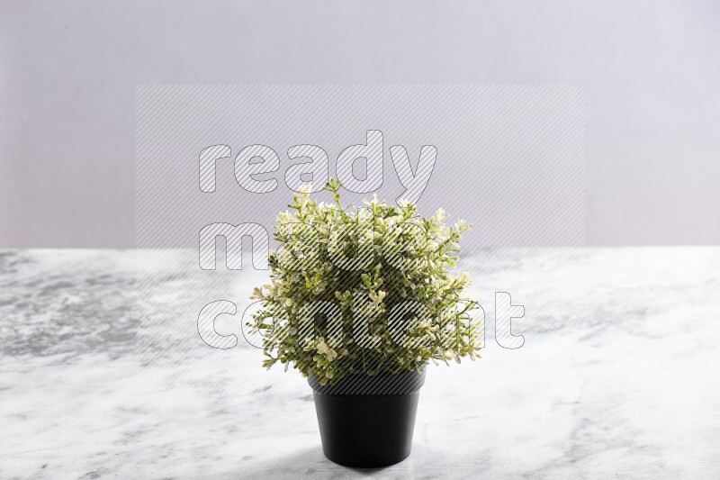Artificial plant in black pot on grey marble background