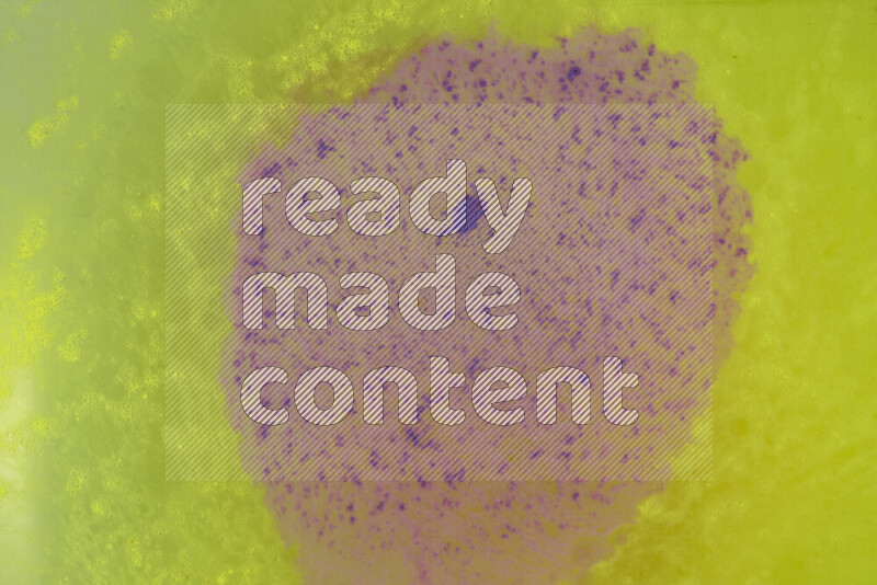 تلتقط الصورة تناثرا للطلاء الأرجواني علي خلفية صفراء