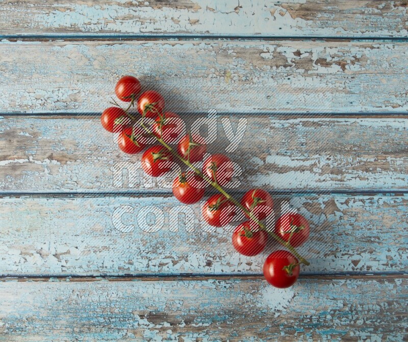 Single cherry Tomato vein topview on a light blue wooden background