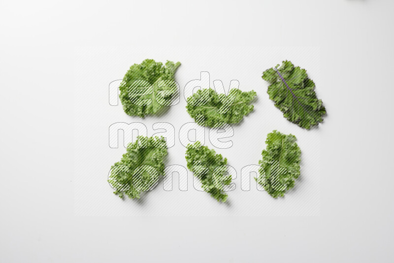 An array of kale leaves spread out on a white background