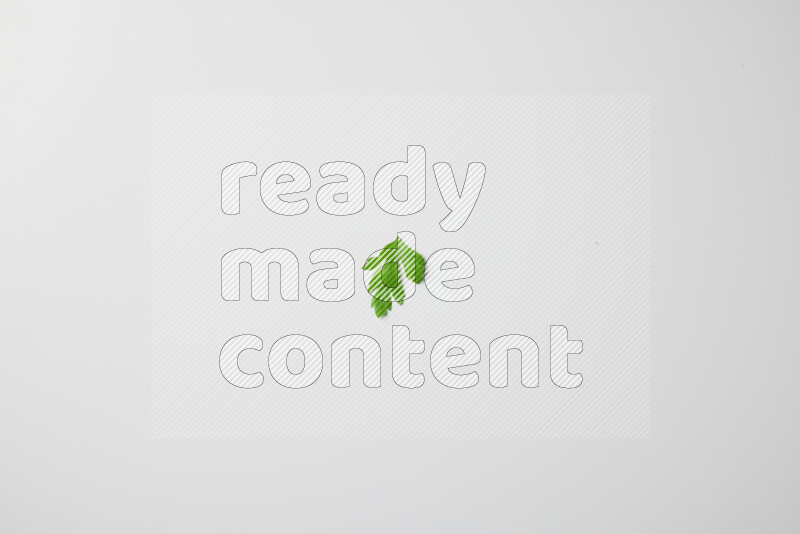 Scattered fresh parsley leaves on white background