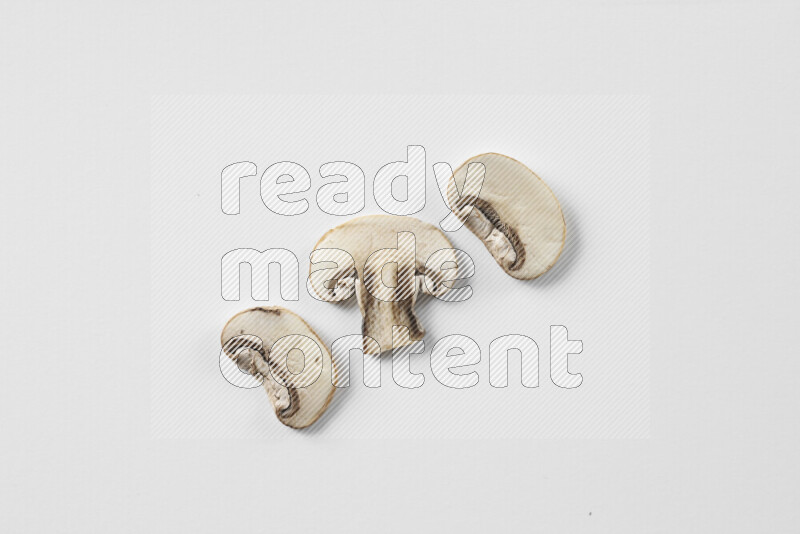 Mushrooms on white background