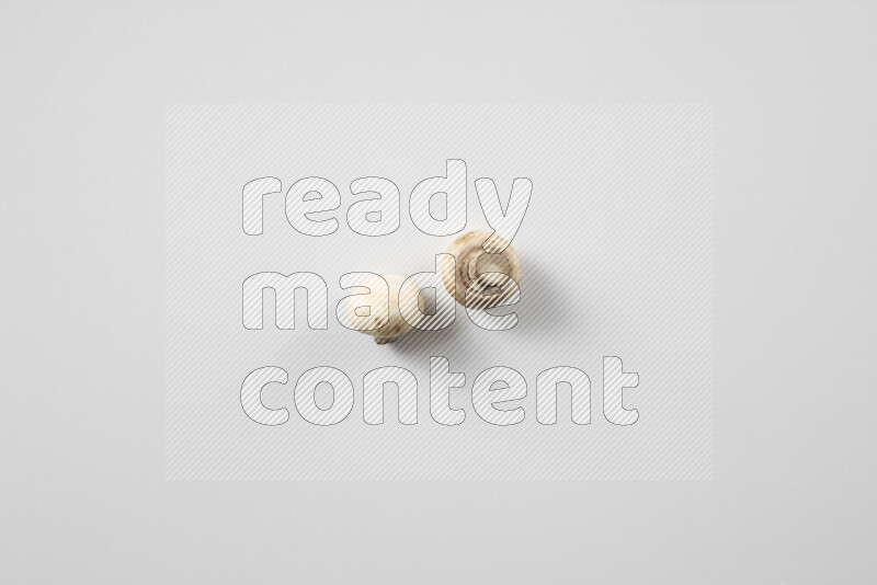 Mushrooms on white background
