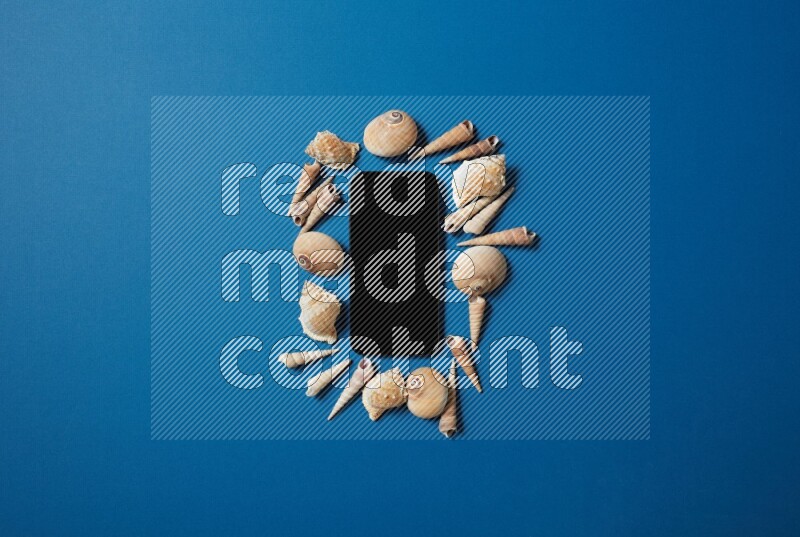 top view shot of phone with seashells on blue background