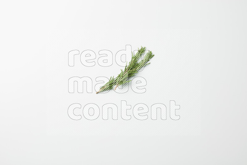 Two fresh rosemary sprigs on white background