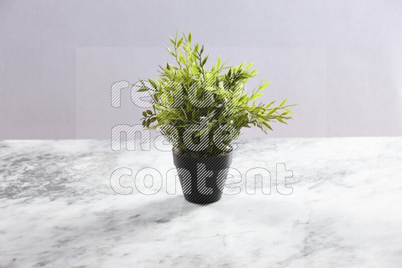 Green artificial plant in black pot on grey marble background