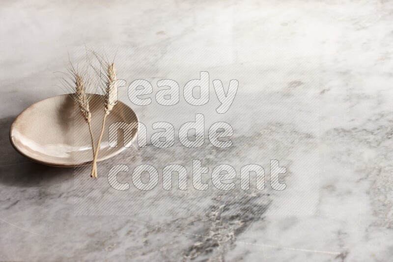 Wheat stalks on Beige Pottery Plate on grey marble flooring, 45 degree angel