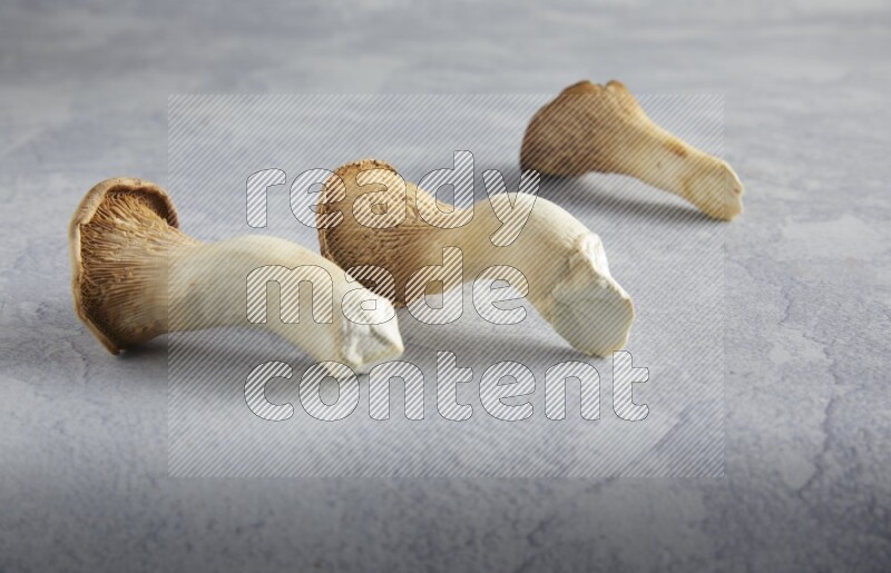 45 degre king oysters mushrooms on a textured light blue  background