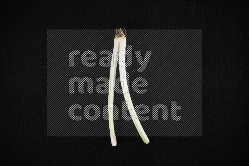 The growth stages of green onions all on black background