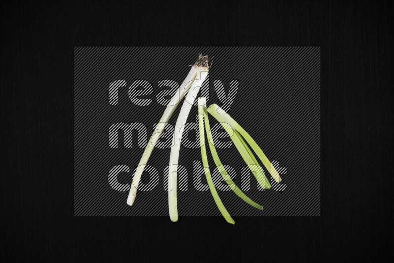 The growth stages of green onions all on black background