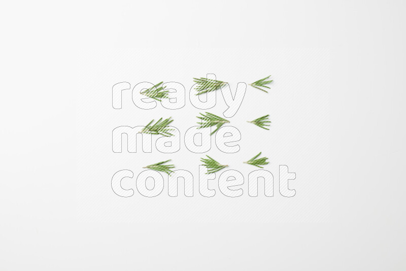 Multi fresh rosemary sprigs on white background