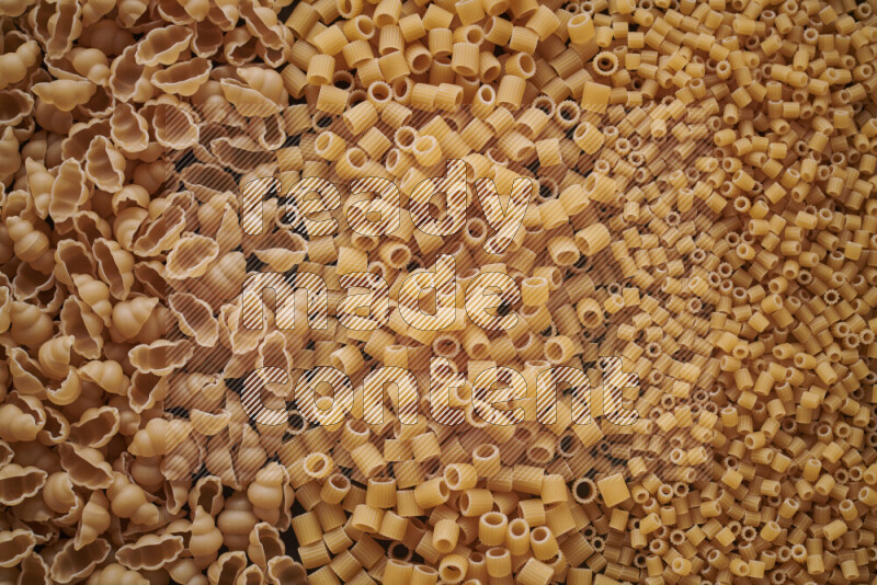 3 types of pasta filling the frame