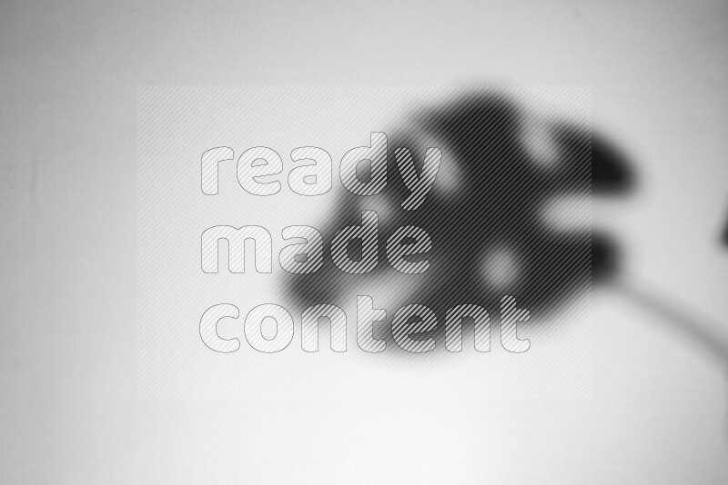 يظهر ضوء غوبو خافت ظلال أوراق نبات تسقط على سطح ناعم